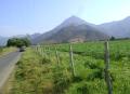 En Ocoa
Excelente Parcela De 5 Hà Planas En Ocoa, Camino Al Oasis De La Campana , Con Acciones De Ag...